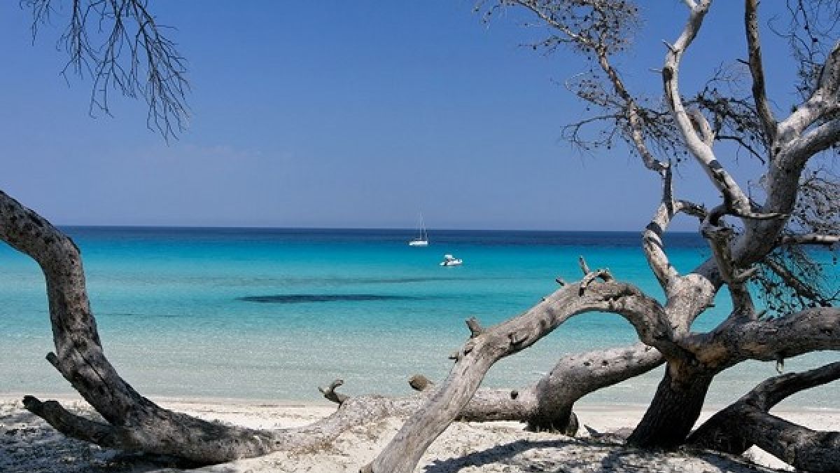 Entdecken Sie den Norden Korsika für Ihren Urlaub